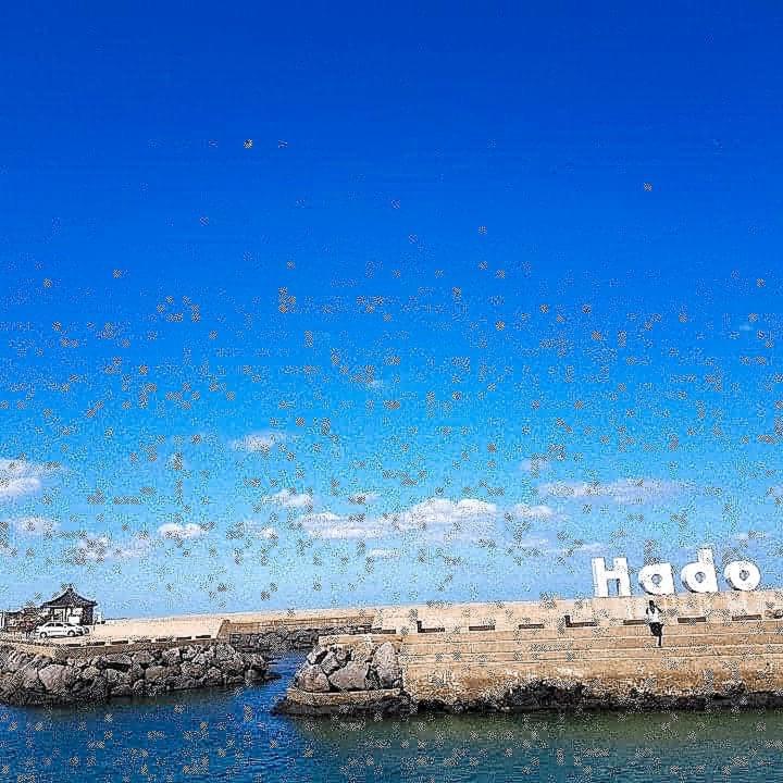 Hadori Mindfulness Villa Jeju Dış mekan fotoğraf