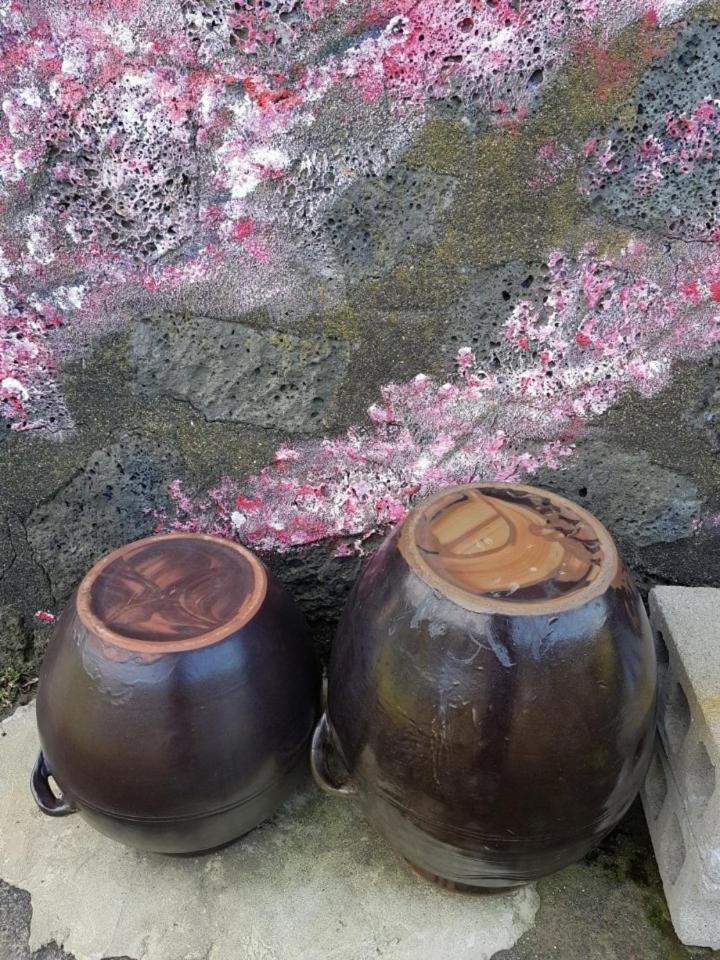 Hadori Mindfulness Villa Jeju Dış mekan fotoğraf
